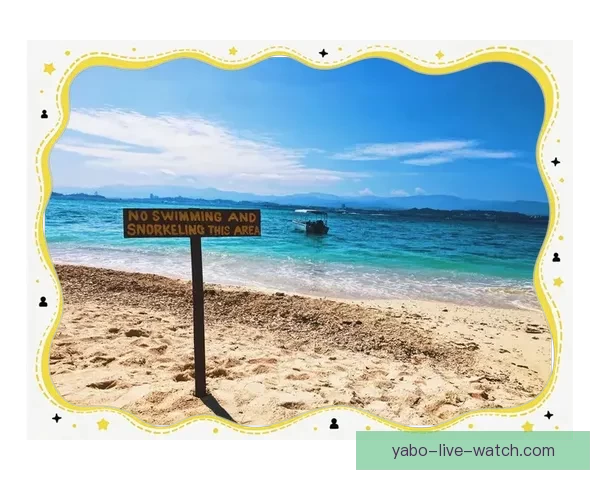 亚博体育：全面解析其在体育娱乐平台中的发展与创新路径