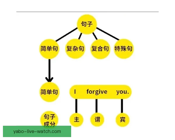 世界杯赛事深度解析与体育竞猜策略全方位指南